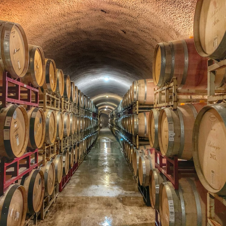 Dry Creek Cabernet - immagine 5