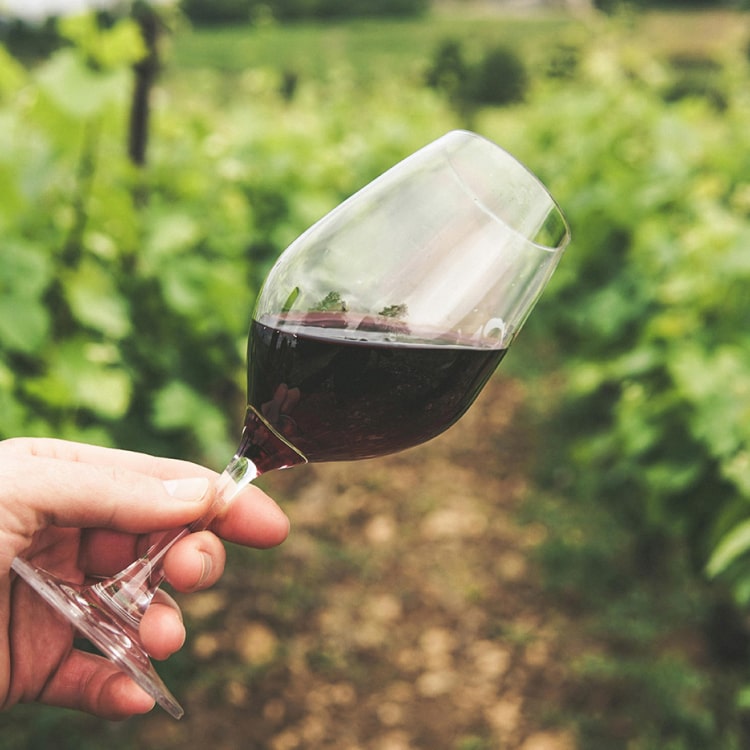 Manis Cabernet Sauvignon - immagine 4